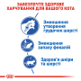 Кипити Indoor Long Hair - сухий корм для домашніх довгошерстих котів (від 1 до 7 років)