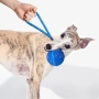 Купить Wicked Ball Air Rope (Royal Blue) Интерактивная электромеханическая игрушка для домашних животных
