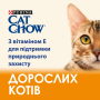 Кипити Adult Chicken Сухий корм з куркою для дорослих котів