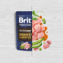 Купить Fillets in Gravy Multipack Мультипак филе в соусе для собак малых пород