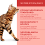 Кипити Adult Cats Turkey Pumpkin sause - вологий корм з індичкою в гарбузовому соусі для дорослих котів