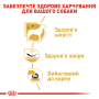 Кипити West Highland White Terrier Adult - сухий корм для дорослих собак порід Вест-хайленд-уайт-тер'єр (від 10 місяців)