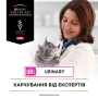 Купить Veterinary Diets UR Urinary Кусочки в подливке с лососем для кошек