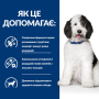 Купить PD Canine C/D Urinary Care Лечебный сухой корм с курицей для взрослых собак с проблемами мочевыделительной системы