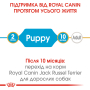 Кипити Jack Russell Terrier Puppy - сухий корм для цуценят породи джек-рассел-тер'єр (до 10 місяців)