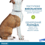 Кипити Foresto - нашийник (38 см) для захисту cобак та котів від бліх, волосоїдів, іксодових кліщів