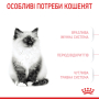 Купить Kitten - сухой корм для котят на каждый день (до 12 месяцев)