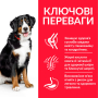 Купить SP Canine Adult Large Breed Lamb & Rice Сухой корм с ягненком и рисом для взрослых собак крупных пород
