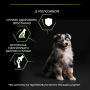 Кипити Puppy Medium Healthy Start Сухий корм з куркою для цуценят середніх порід