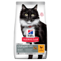 Купить SP Feline Mature Adult 7+ Sterilised Chicken Сухой корм для кошек с курицей