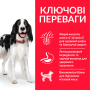 Кипити SP Canine Adult Medium Breed Tuna & Rice Сухий корм з тунцем та рисом для доросих собак середніх порід