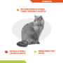 Купить ArthroFos Cat – таблетки для опорно-двигательной системы кошек