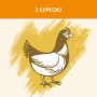 Кипити Adult Chicken Сухий корм з куркою для дорослих котів