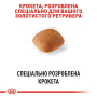 Кипити Golden Retriever Adult - сухий корм для собак породи Голден ретривер (від 15 місяців)