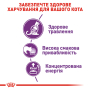 Купить Sensible 33 - сухой корм для кошек с чувствительной пищеварительной системой (от 12 месяцев)