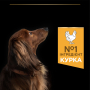 Кипити Dog Adult Small & Mini Everyday Nutrion Сухий корм з куркою для дорослих собак малих і мініатюрних порід