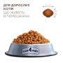 Купить Adult Cats Indoor 4 in 1 - сухой корм для кошек без доступа на улицу