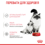 Кипити Mother & Babycat - вологий корм у мусі для кішок у період вагітності та лактації, для кошенят (від 1 до 4 місяців)