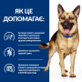 Кипити PD Canine Gastrointestinal Biome Сухий корм-дієта з куркою для дорослих собак із чутливим травленням