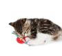Купить Kitty Chew Wheel Игрушка-колесо для кошек