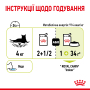 Купить Sensory Smell in Jelly
