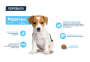 Кипити Dog Mini Puppy Сухий корм для цуценят маленьких порід з куркою та рисом