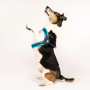 Купить Q-Fit Harness Matrix Sky Blue Шлея для собак