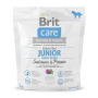 Кипити Grain Free Junior Large Breed Salmon & Potato - беззерновий сухий корм с лососем та картоплею для цуценят та юніорів великих та гігантських порід