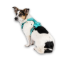 Кипити Smart ID Sport Harness Matrix 2.0 Turquoise Шлея для собак