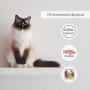 Купить Migliorgatto Sterilized Беззерновые консервы для стерилизованных кошек с курицей ягненком и овощами