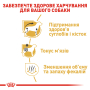 Кипити Dachshund Adult - сухий корм для собак породи такса (від 10 місяців)