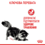 Кипити Digest Sensitive – вологий корм у соусі для котів з чутливим травленням (від 12 місяців)