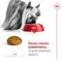 Кипити X-small Adult 8+ - сухий корм для дорослих собак мініатюрних порід (від 8 до 12 років)