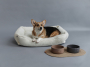Купить Cacao Bowl Керамическая миска для собак и кошек