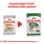 Кипити Coat Care All Size Повнораціонний вологий корм у вигляді паштету для собак різного розміру  із тьмяною та жорсткою шерстю