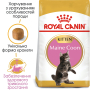 Купить Maine Coon Kitten - сухой корм для котят породы мейн-кун (до 15 месяцев)