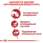Купить Instinctive - влажный корм в соусе для кошек на каждый день (от 12 месяцев)