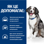 Кипити Prescription Diet Canine I/D Sensitive - дієтичний сухий корм з яйцем та рисом для зменшення розладів травлення у дорослих собак