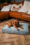 Купить Memory Foam Mint Лежак для собак