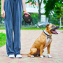 Кипити WAUDOG R-leash Повідець-рулетка для собак з контейнером для пакетів, світловідбивальна стрічка, чорний