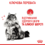 Купить Hair & Skin Care - сухой корм поддерживает эластичность кожи и красоту шерсти у кошек (от 12 месяцев)