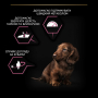 Купить Small&Mini Puppy Sensitive Skin Salmon Сухой корм с лососем для щенков малых пород с чувствительной кожей