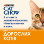 Купить Adult С ягненком и зеленой фасолью в желе для кошек