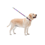 Купить WAUDOG Nylon "Витраж" Поводок для собак, нейлоновый