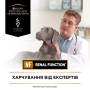 Купить Veterinary Diets NF Renal Function Лечебный сухой корм для взрослых собак с больными почками