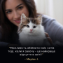 Кипити LiveClear Kitten Turkey Сухий корм для кошенят для зменшення алергенів на шерсті, з індичкою
