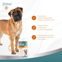 Купить Excel Glucosamine + MSM Кормовая добавка для поддержания или восстановления здоровья суставов у взрослых собак и собак пожилого возраста