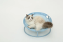 Купить Pet bed round light blue Складной лежак для домашних животных