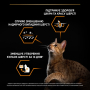 Купить Cat Adult Derma Care Salmon Сухой корм для взрослых кошек для поддержания здоровья кожи и красоты шерсти, с лососем