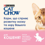 Кипити Kitten Сухий корм з куркою для кошенят